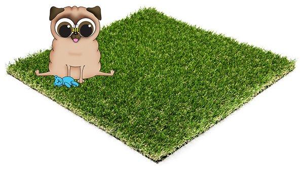 Our Dog Friendly Artificial grass