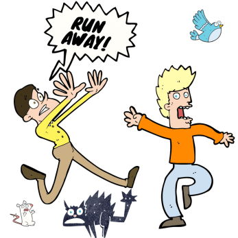 What to ask your artificial grass installer