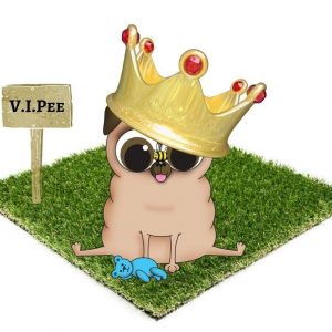 Dog Toilets and Grass Mats