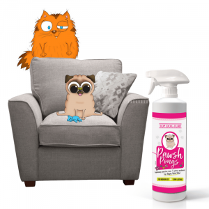 Indoor Odour Removal