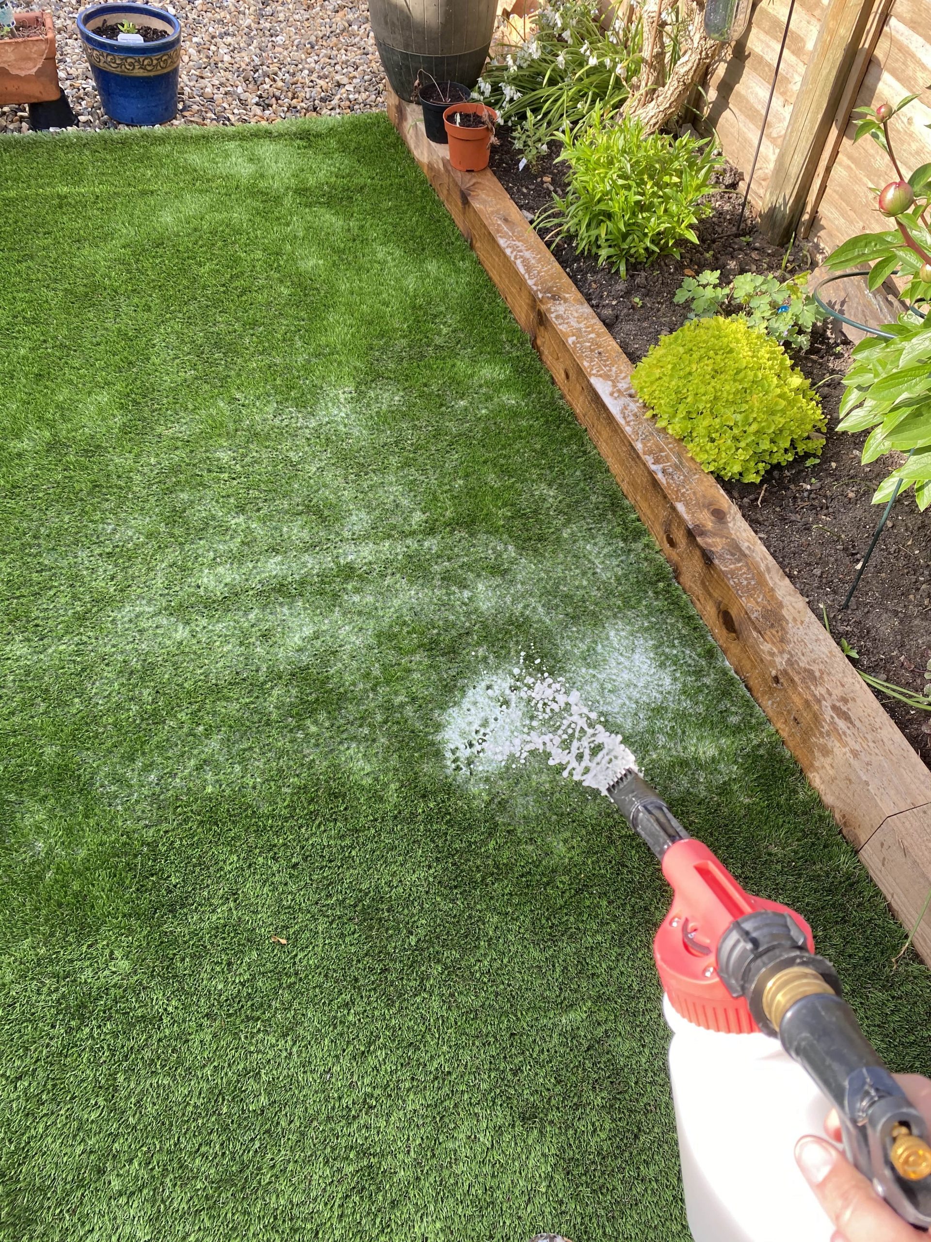 Cleaning the artificial grass with Wee Free Sub-Base Soaker. It works!