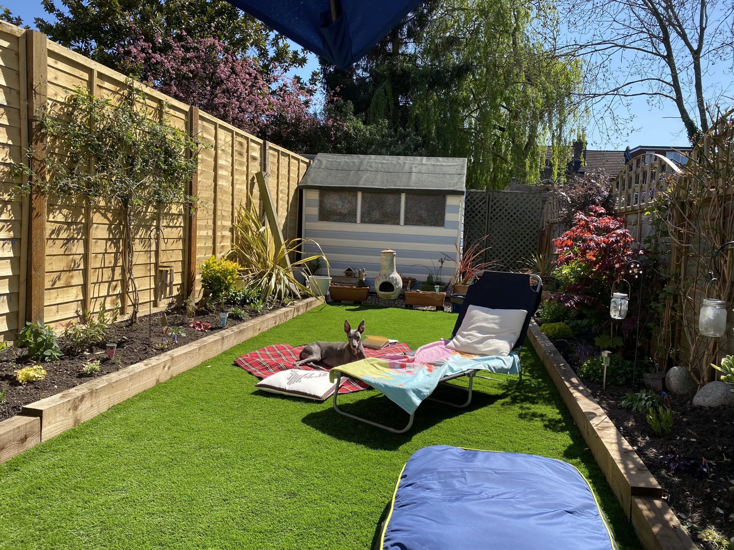 Loving my garden now the Wee Free Sub-Base Soaker has worked