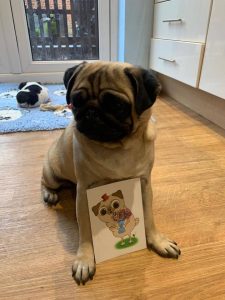 Cute Doggie with Top Dog Turf postcard